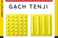 BTX GẠCH CHỈ ĐƯỜNG